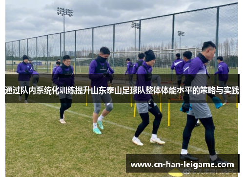 通过队内系统化训练提升山东泰山足球队整体体能水平的策略与实践