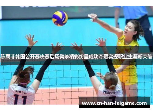 陈雨菲韩国公开赛决赛后场劈杀精彩纷呈成功夺冠实现职业生涯新突破