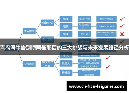 青岛海牛告别博阿基耶后的三大挑战与未来发展路径分析 青岛海牛告别博阿基耶后的三大挑战与未来发展路径分析